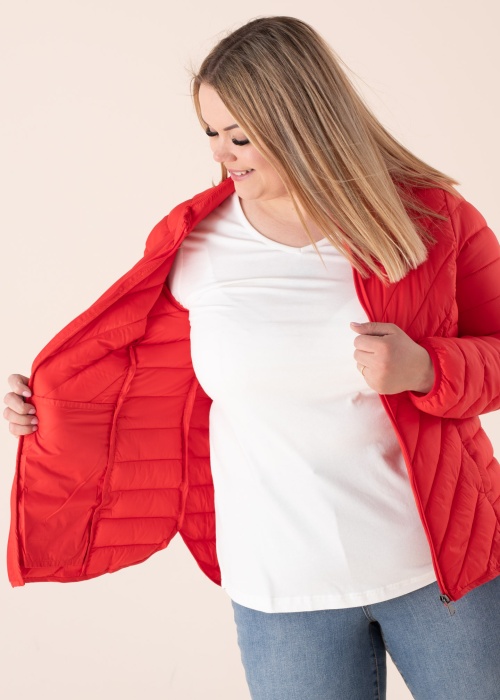 Ciso pavasara-rudens virsjaka