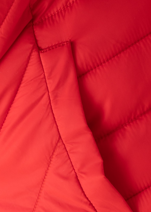 Ciso pavasara-rudens virsjaka