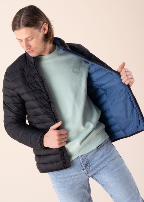 Blend pavasara-rudens virsjaka