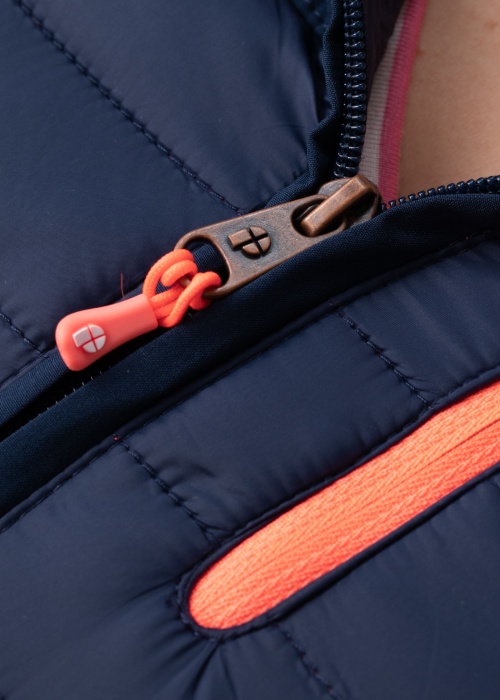 Protest pavasara-rudens virsjaka Aaliyah