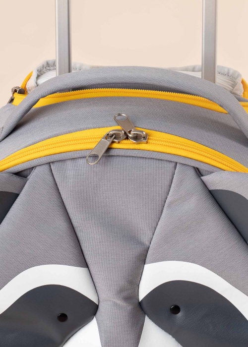 Чемодан Raccoon Remy Samsonite