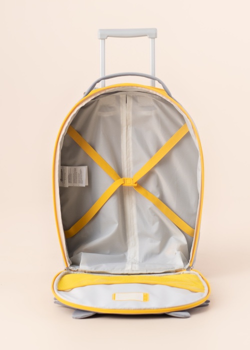 Чемодан Raccoon Remy Samsonite