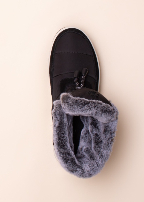 Cougar puszābaki Vibe