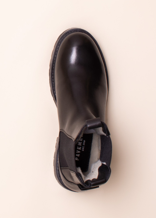 Pavement puszābaki Katelyn