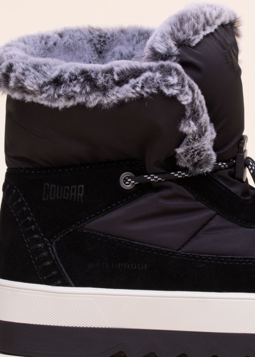 Cougar puszābaki Vibe