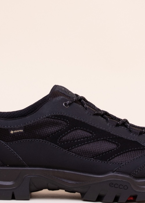 Ecco pārgājienu apavi Xpedition Iii