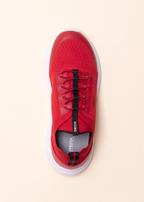 Кроссовки Sprintye Geox