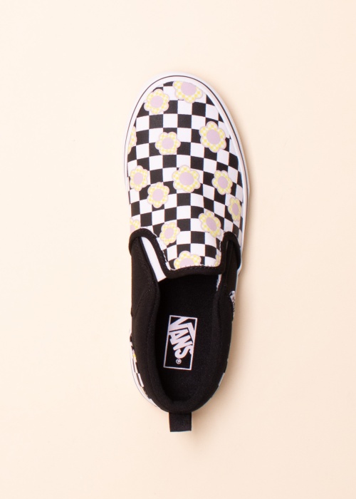Vans kedas Asher