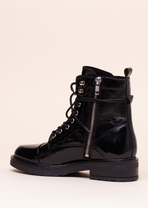 Pavement puszābaki Charley