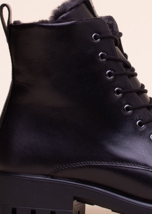 Ecco puszābaki Modtray