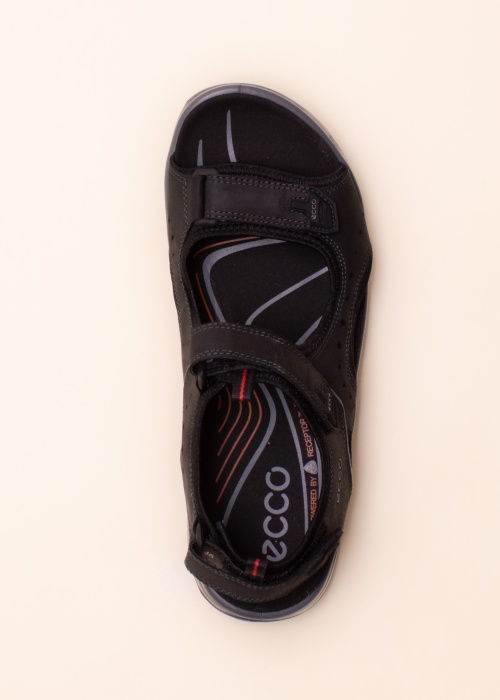 Ecco sandales