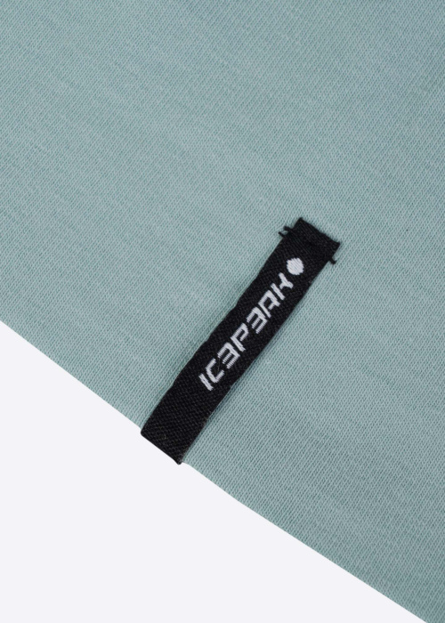 Icepeak Pavasara-rudens cepure Hemet