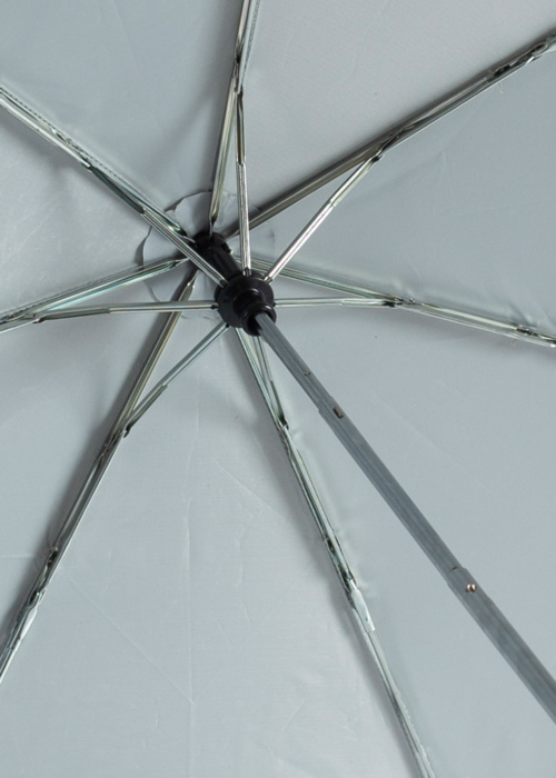 Lasessor lietussargs