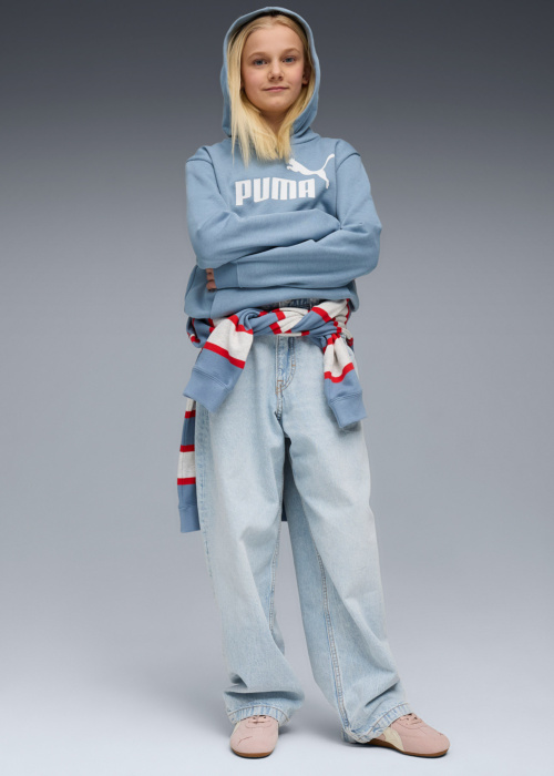 Кофта Ess No.1 логотип Puma