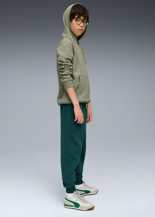 Puma sportbikses Ess No.1 Logotips