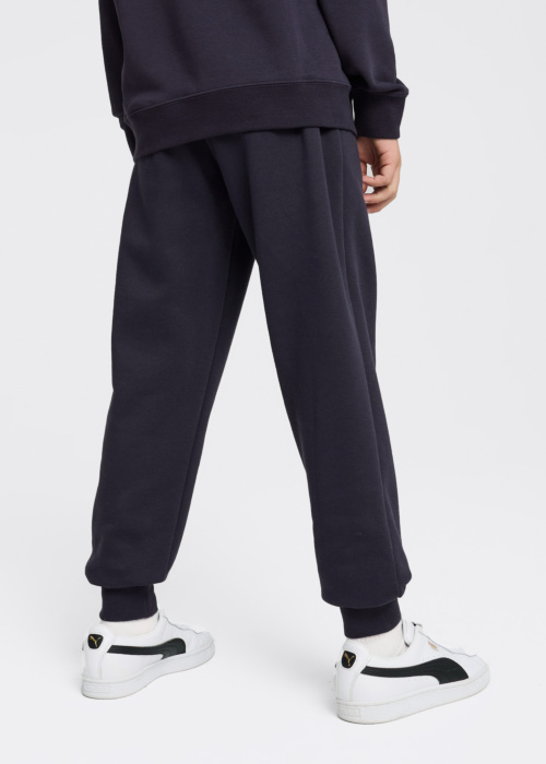 Puma sportbikses Ess No.1 Logotips