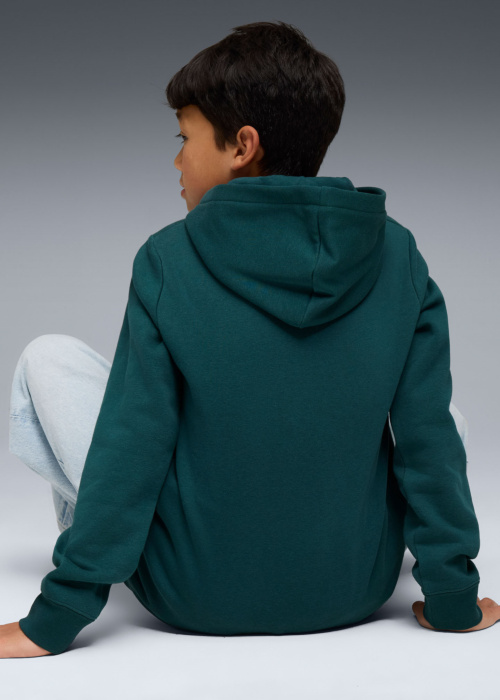 Puma džemperis Ess No.1 Logotips