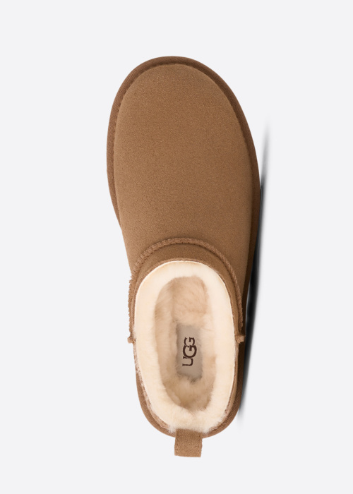 Тапочки Classico UGG