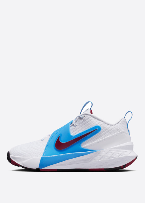 Баскетбольные кроссовки Team Hustle D 12 Nike