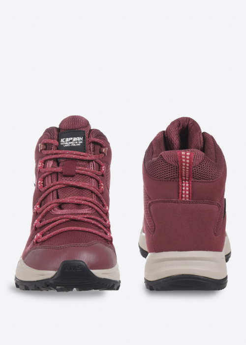 Походные сапоги Ansio Icepeak