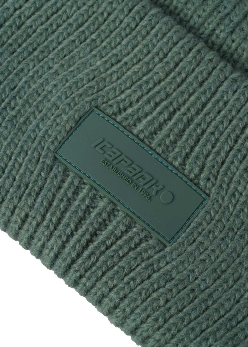 Зимняя шапка Halbur Icepeak