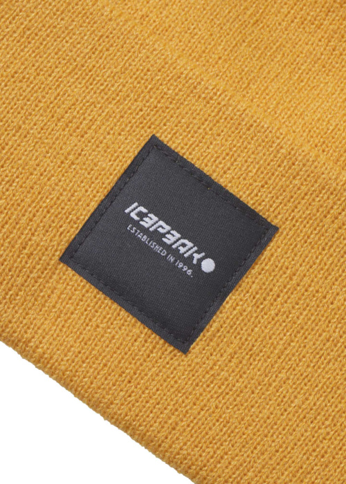 Шапка Harcourt Icepeak