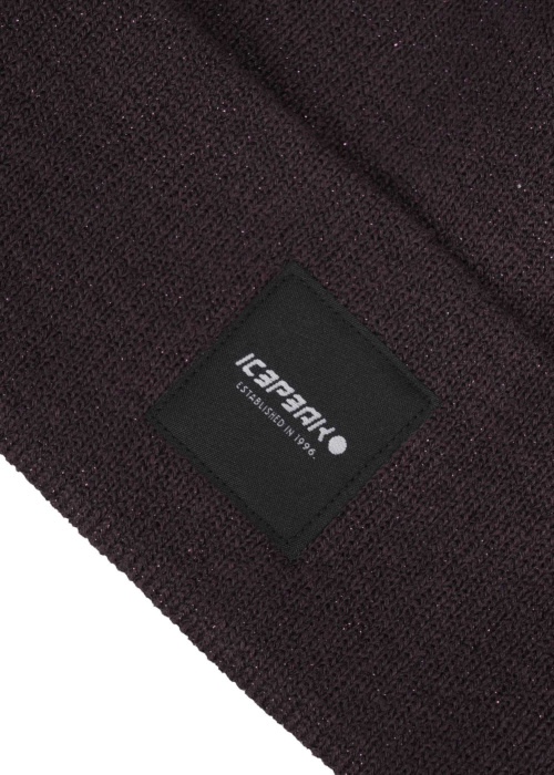 Шапка Hanahan Icepeak