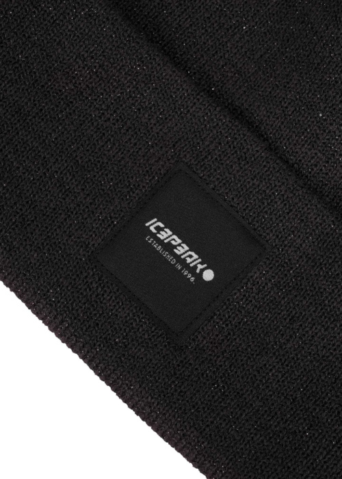 Шапка Hanahan Icepeak