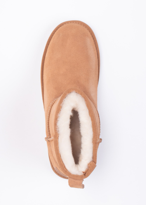 Colors of California puszābaki