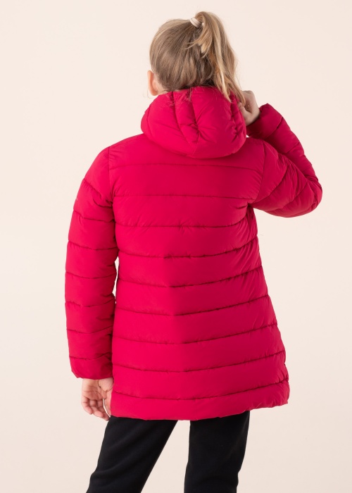 Champion pavasara-rudens virsjaka