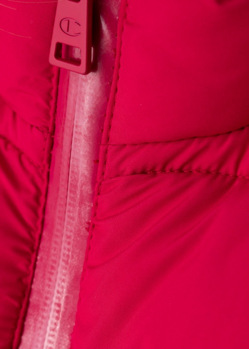 Champion pavasara-rudens virsjaka