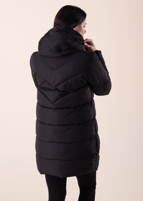 Noisy May ziemas metelis Dalcon