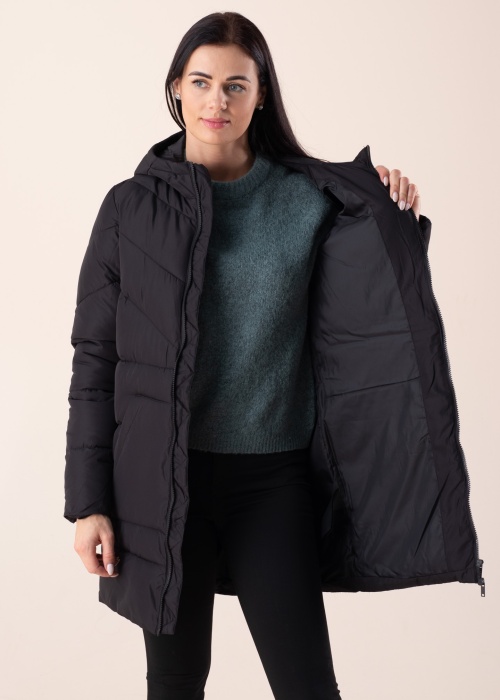 Noisy May ziemas metelis Dalcon