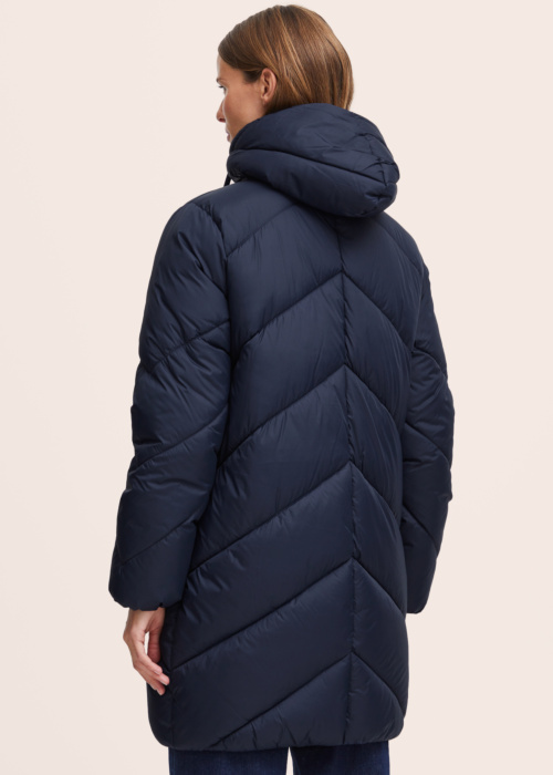 b.young ziemas metelis Bomina