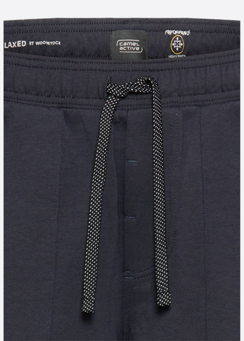 Брюки Camel Active