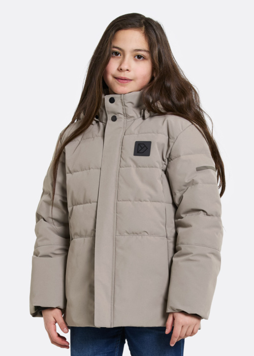 Didriksons pavasara-rudens virsjaka Silikat