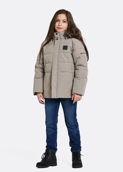 Didriksons pavasara-rudens virsjaka Silikat