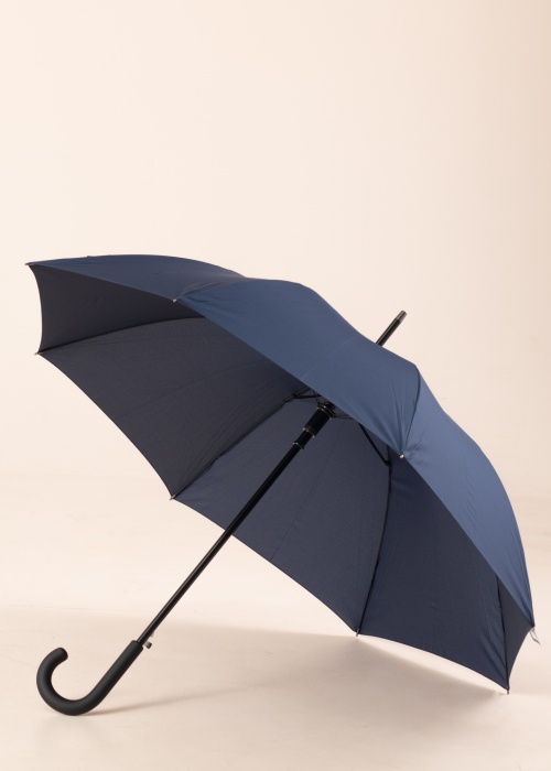 Зонтик Buddy Long Bugatti