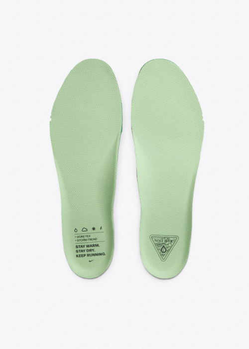 Nike apavi skriešanai Air Zm Pegasus 41 Gtx