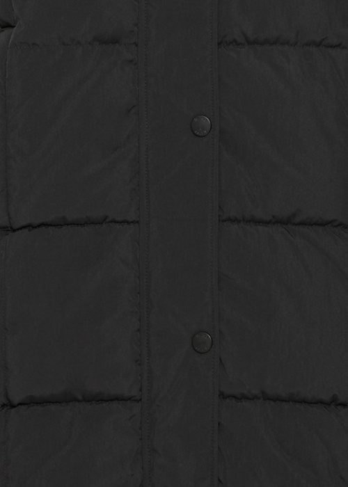 Fransa ziemas metelis Eileen