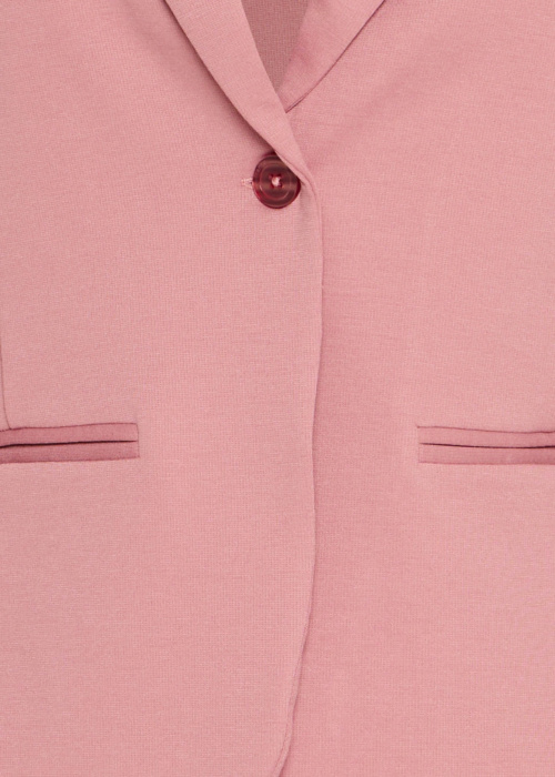 Fransa jaka Zablazer