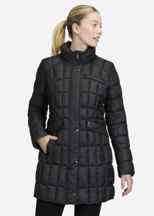 Gil Bret ziemas metelis