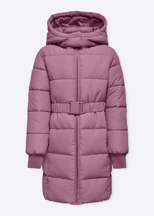 Only ziemas metelis Maggi