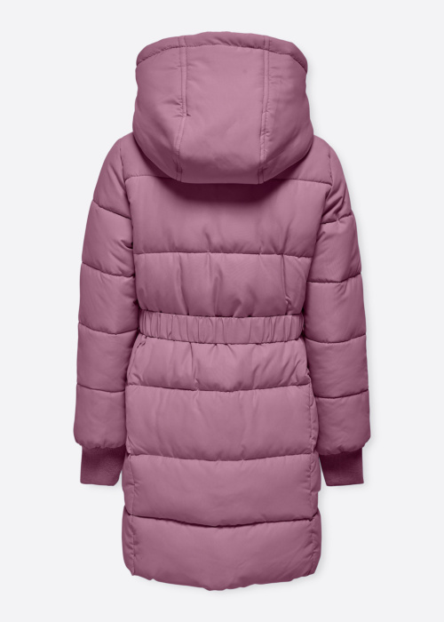 Only ziemas metelis Maggi