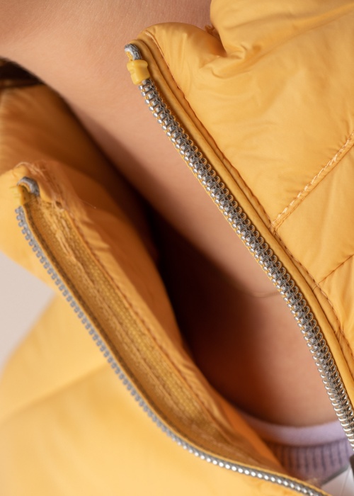 Fransa pavasara-rudens virsjaka Papadding