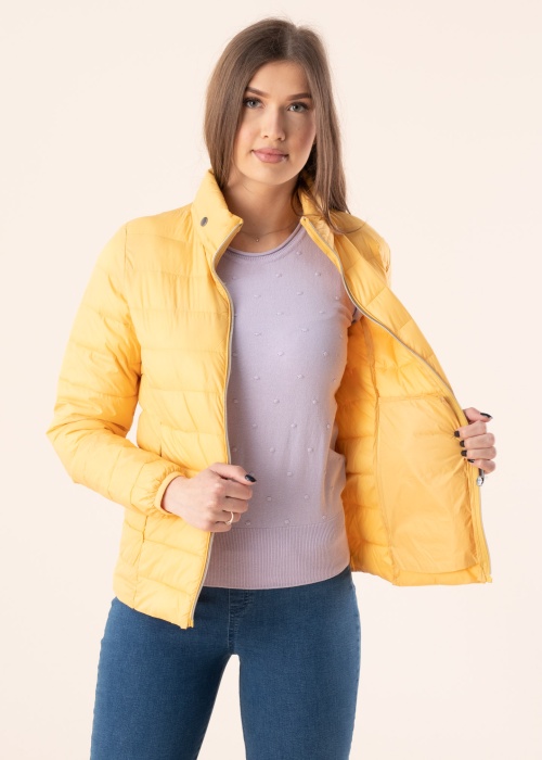 Fransa pavasara-rudens virsjaka Papadding