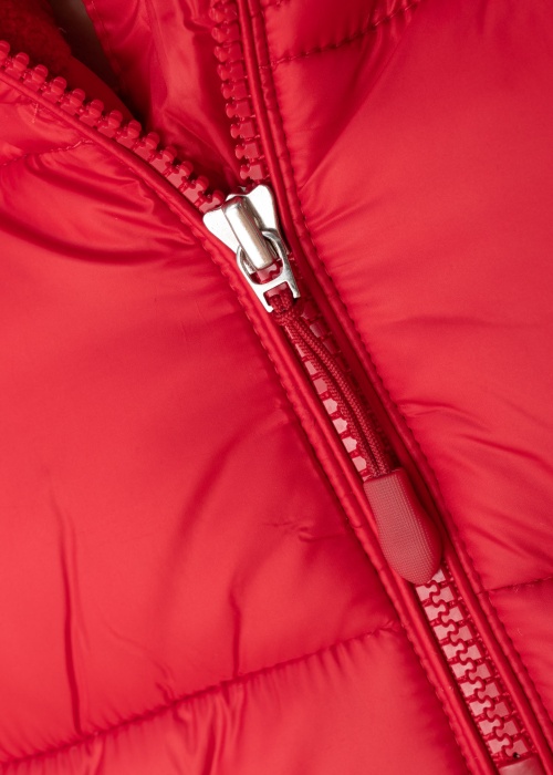 Champion pavasara-rudens virsjaka