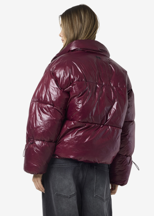 Noisy May Ziemas virsjaka Allie