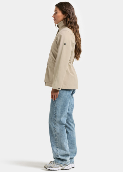 Didriksons pavasara-rudens virsjaka Viola