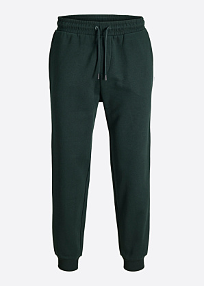 Jack & Jones sporta bikses Gordon Bradley